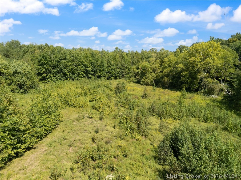 15116 Wilson Switch Road Property Photo 34