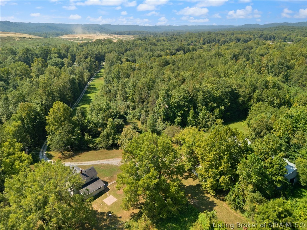 15116 Wilson Switch Road Property Photo 41
