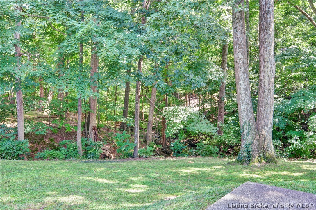 113 Brandywynne Lane Property Photo 54