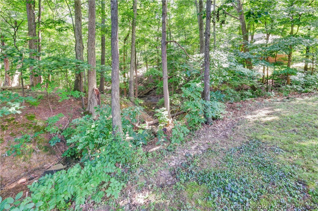 113 Brandywynne Lane Property Photo 60