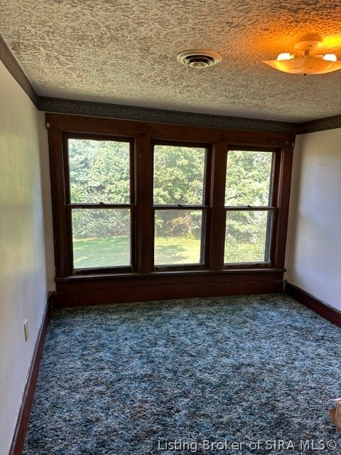 3384 E State Road 160 Property Photo 34