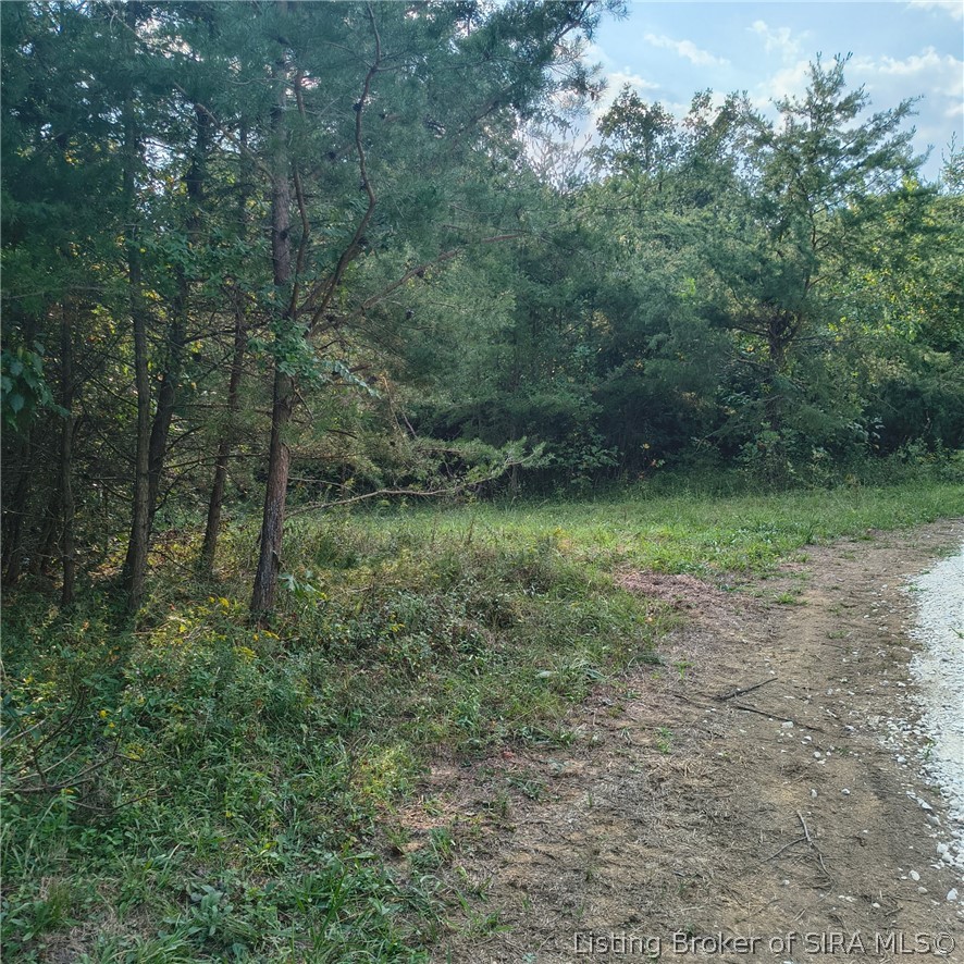 Tract 4 Crooked Lane Nw Property Photo 1