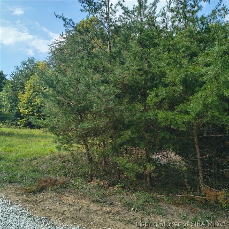 Tract 4 Crooked Lane Nw Property Photo 3