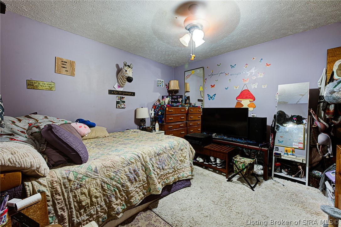 235 E Schafer Lane Property Photo 15