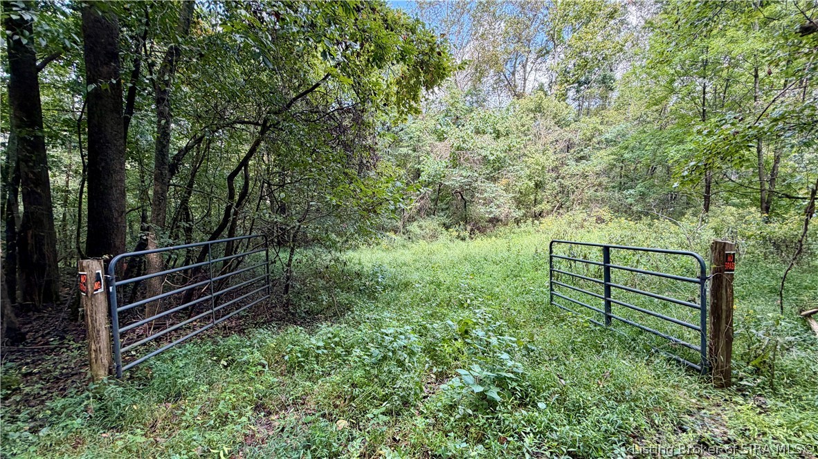 7295 Blue Spring Road Sw Property Photo 7