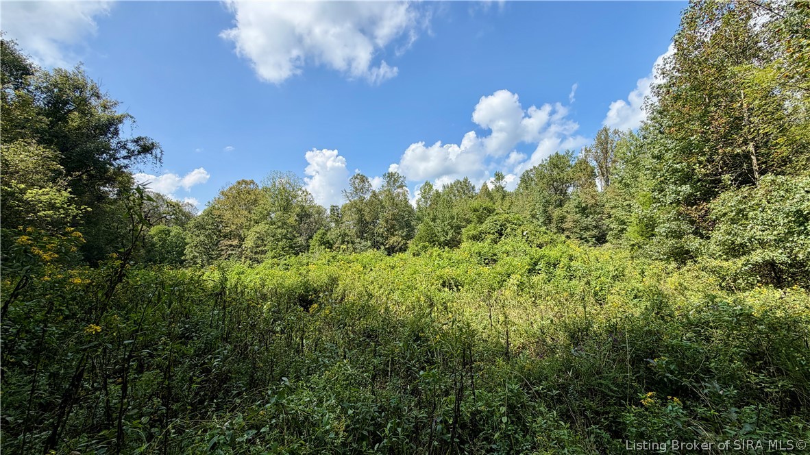7295 Blue Spring Road Sw Property Photo 10