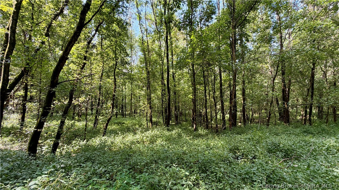7295 Blue Spring Road Sw Property Photo 13