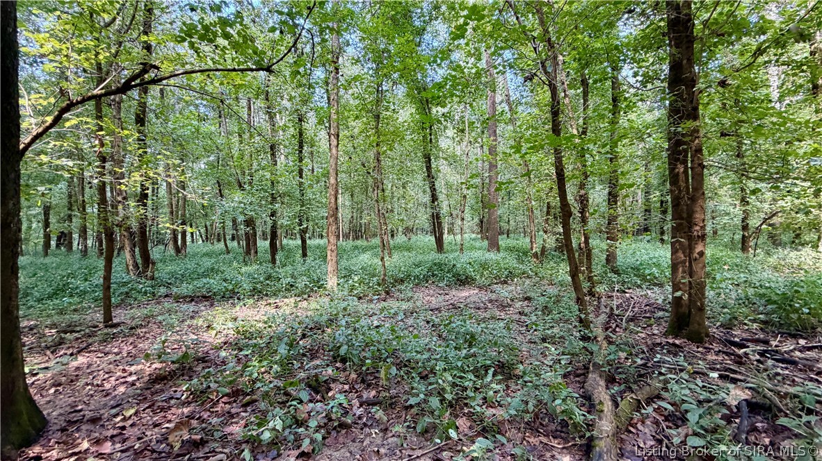 7295 Blue Spring Road Sw Property Photo 15