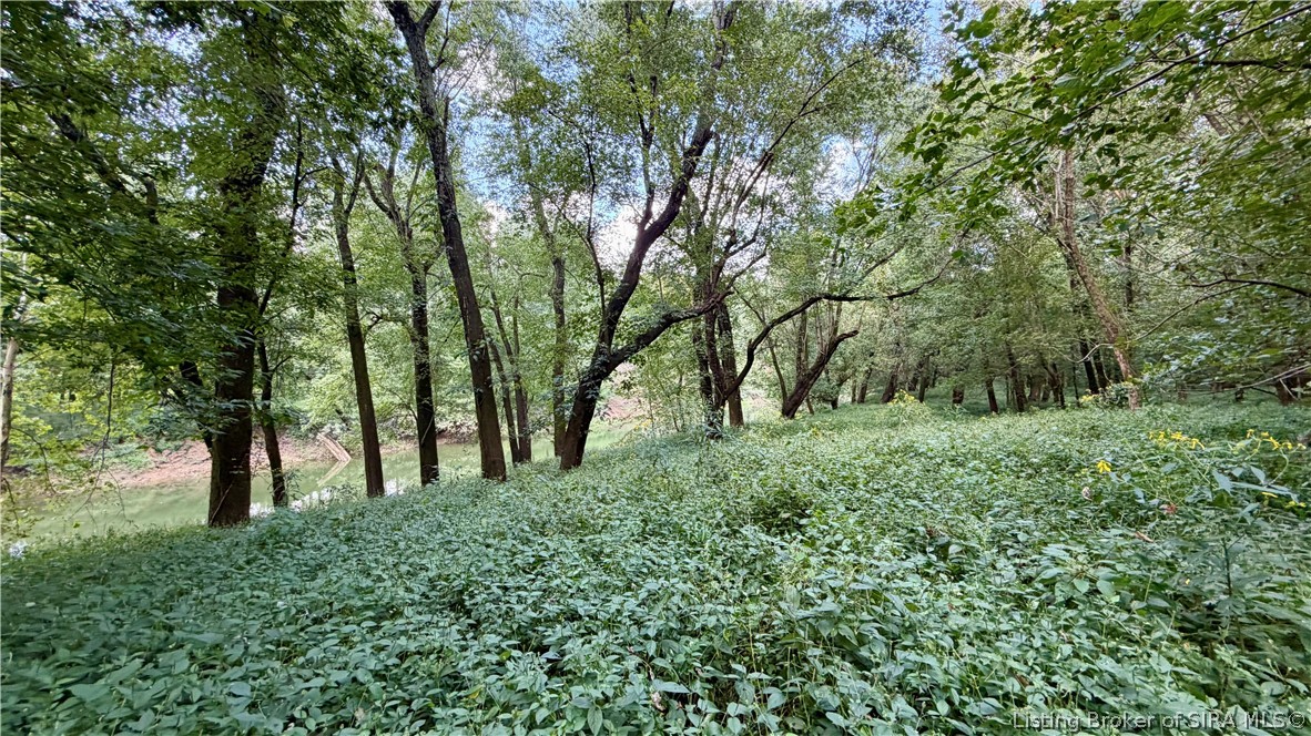 7295 Blue Spring Road Sw Property Photo 17