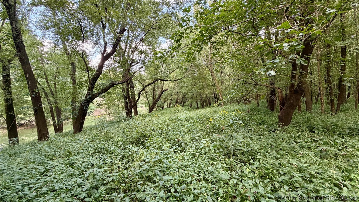 7295 Blue Spring Road Sw Property Photo 18
