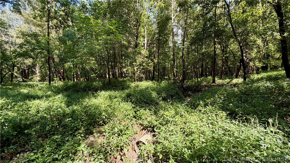 7295 Blue Spring Road Sw Property Photo 22