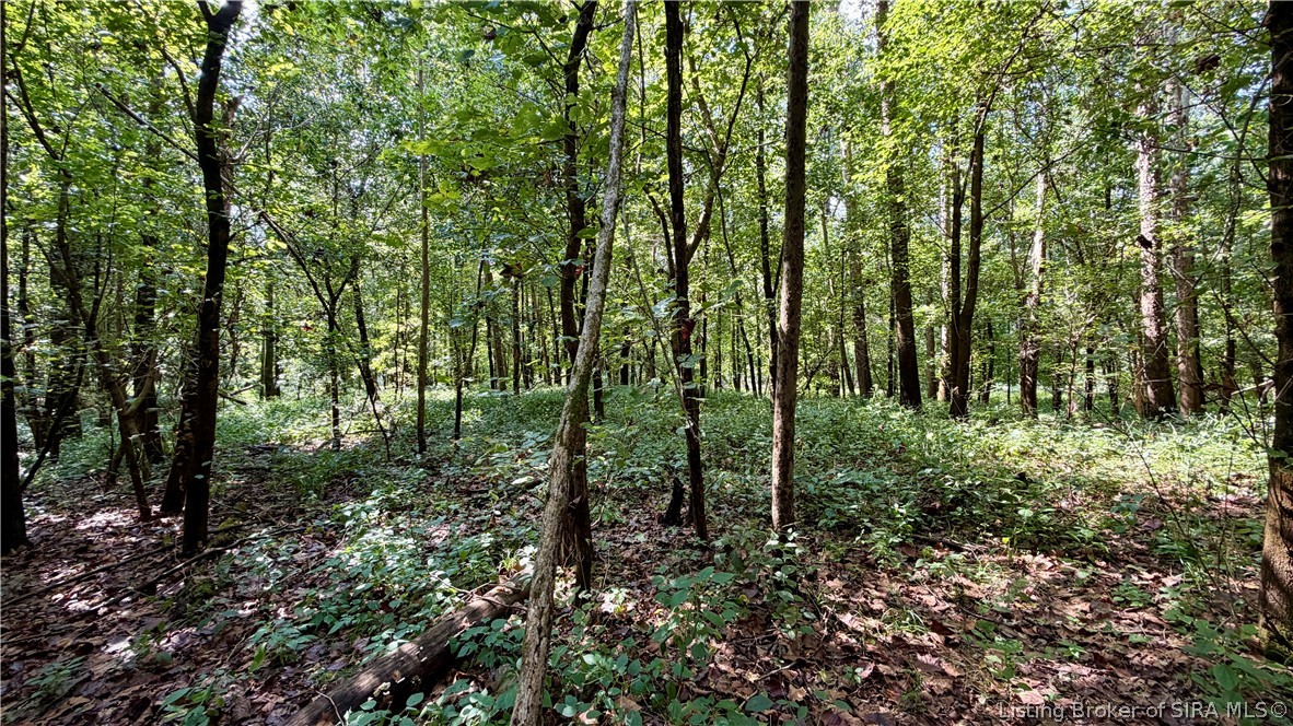 7295 Blue Spring Road Sw Property Photo 23