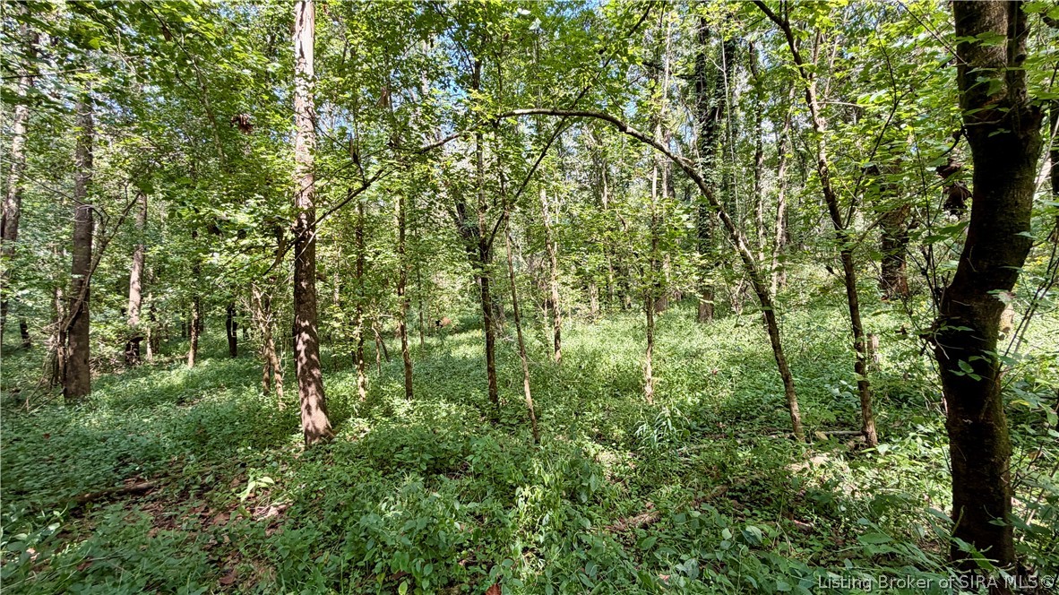 7295 Blue Spring Road Sw Property Photo 24