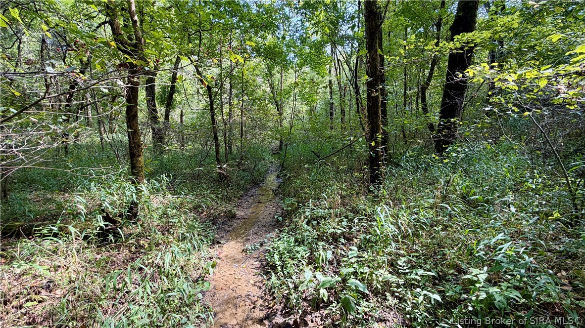 7295 Blue Spring Road Sw Property Photo 25