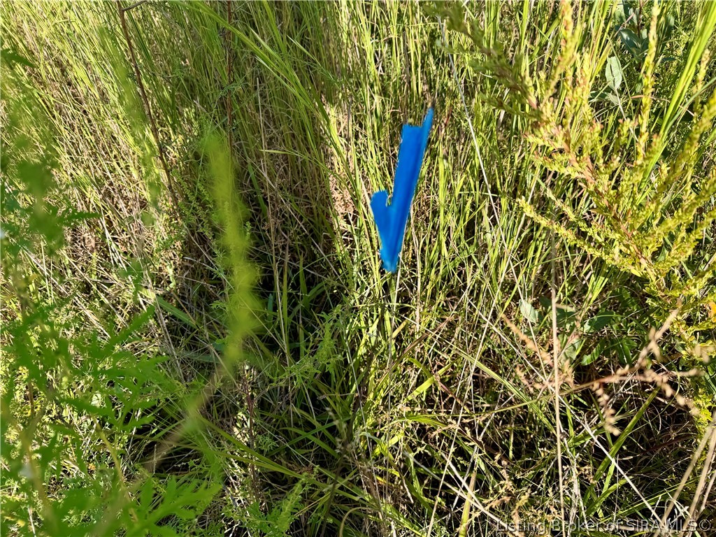 E Side S Big Springs Road Property Photo 3