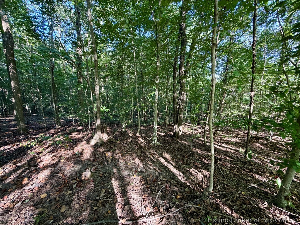E Side S Big Springs Road Property Photo 6