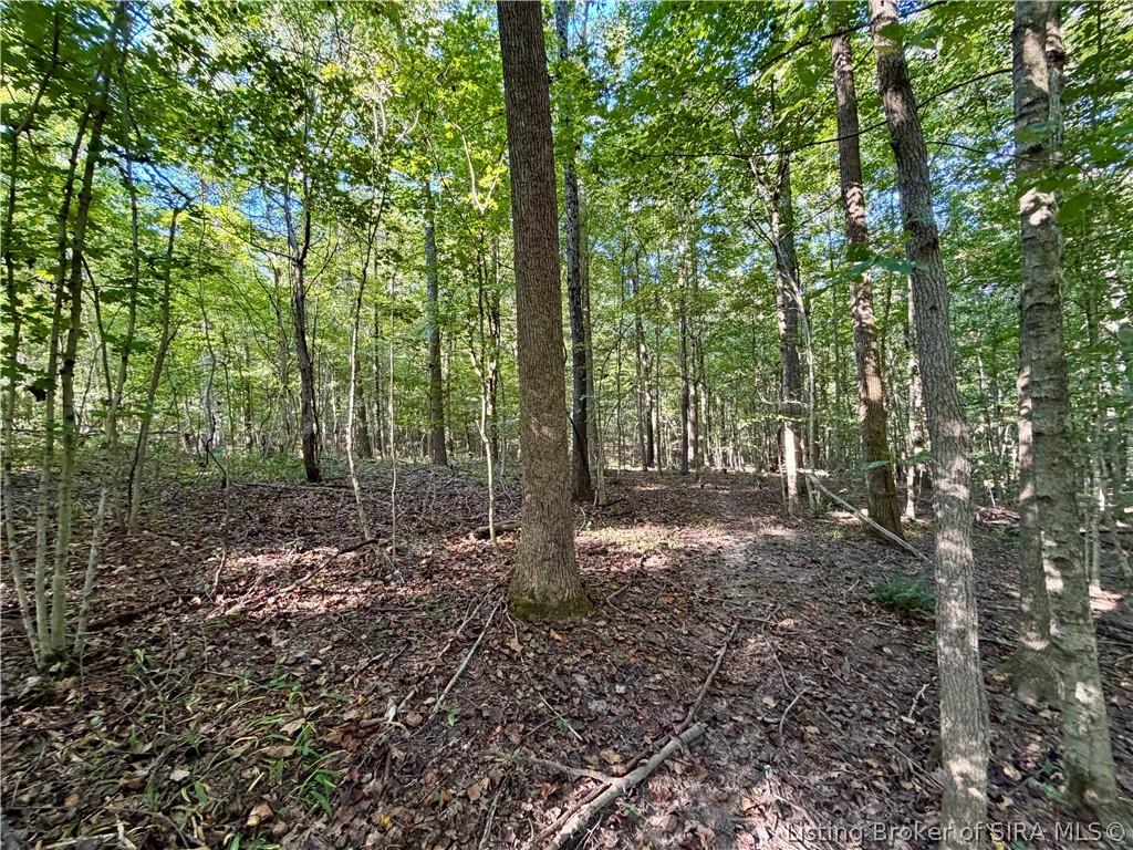 E Side S Big Springs Road Property Photo 7