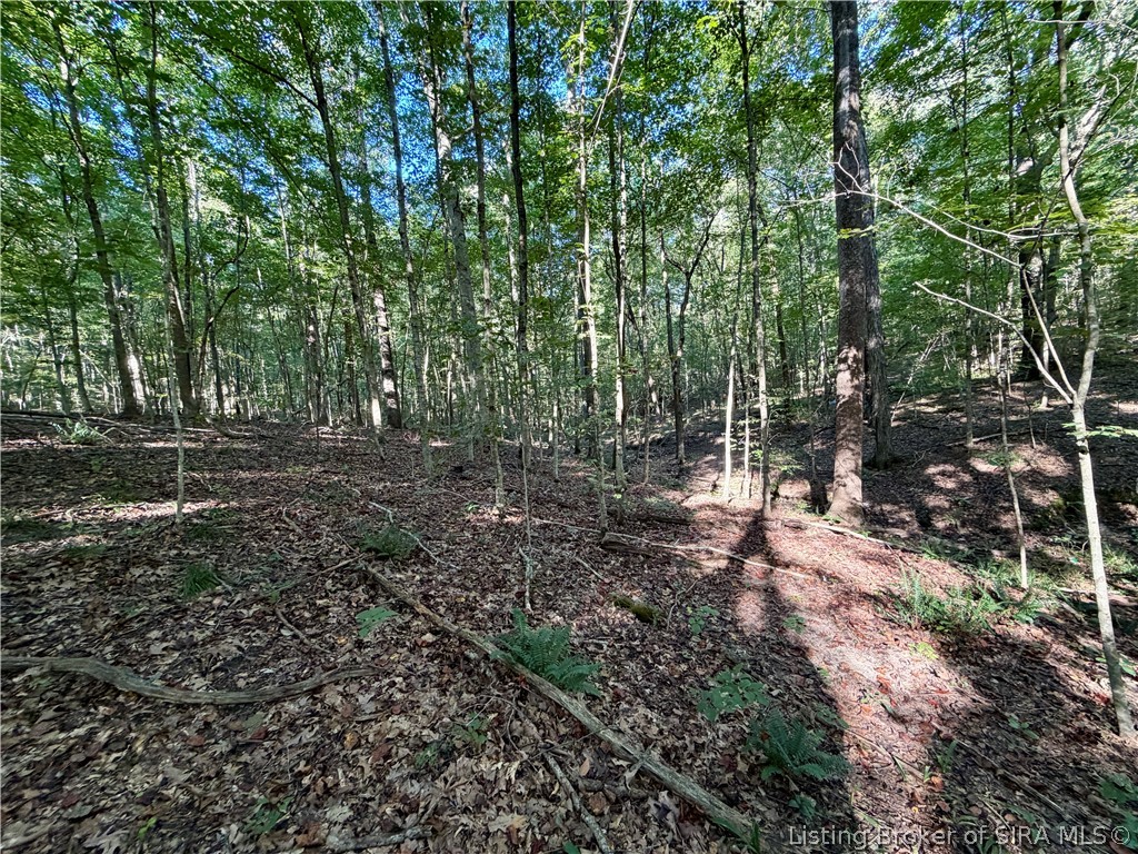 E Side S Big Springs Road Property Photo 8