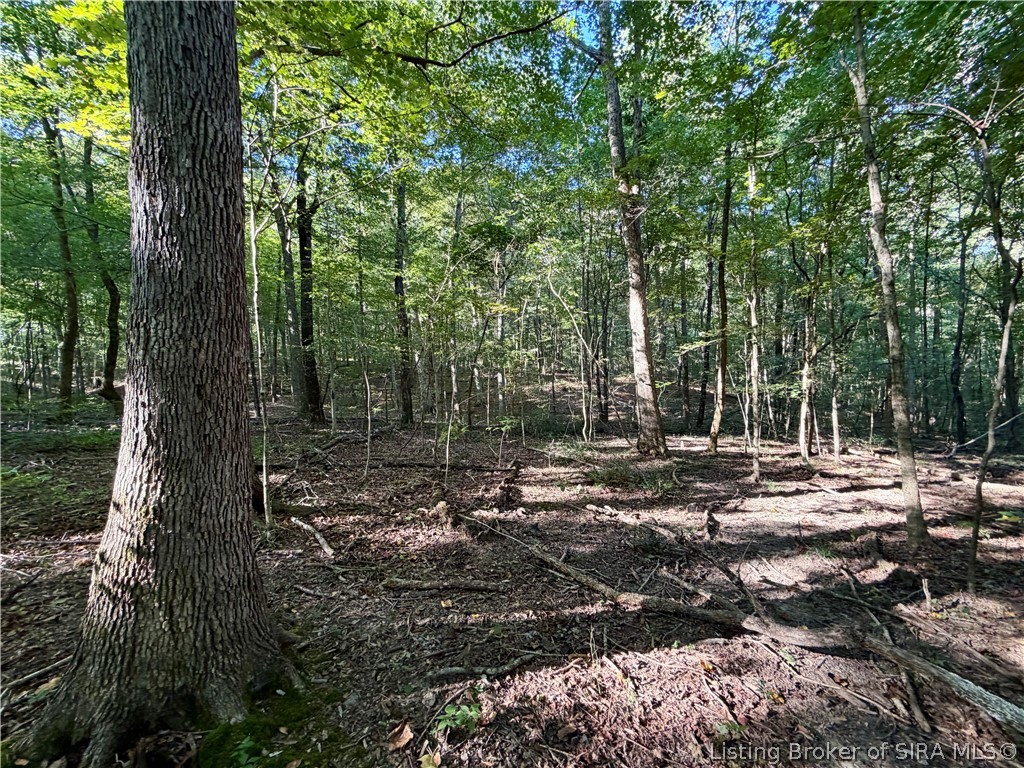 E Side S Big Springs Road Property Photo 9