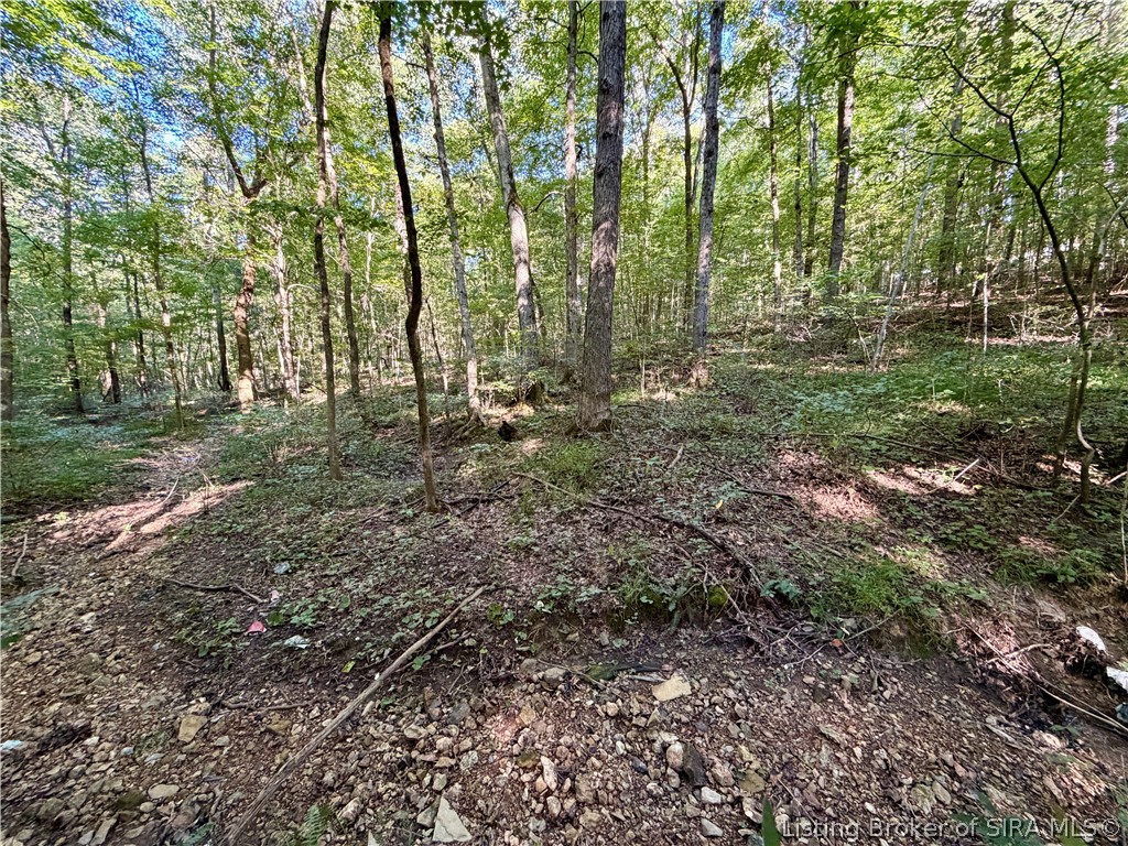 E Side S Big Springs Road Property Photo 10