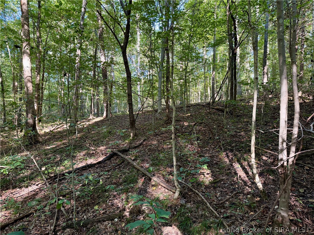 E Side S Big Springs Road Property Photo 12