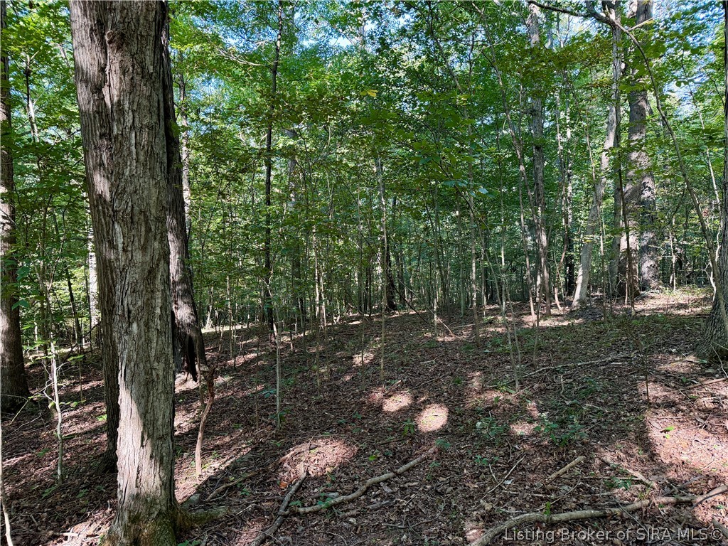 E Side S Big Springs Road Property Photo 14