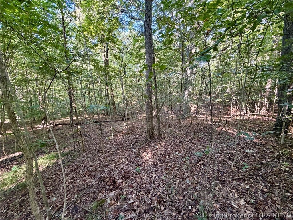 E Side S Big Springs Road Property Photo 16