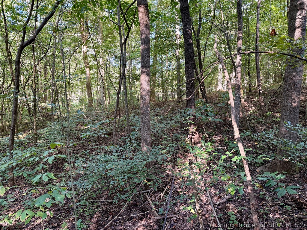 E Side S Big Springs Road Property Photo 17
