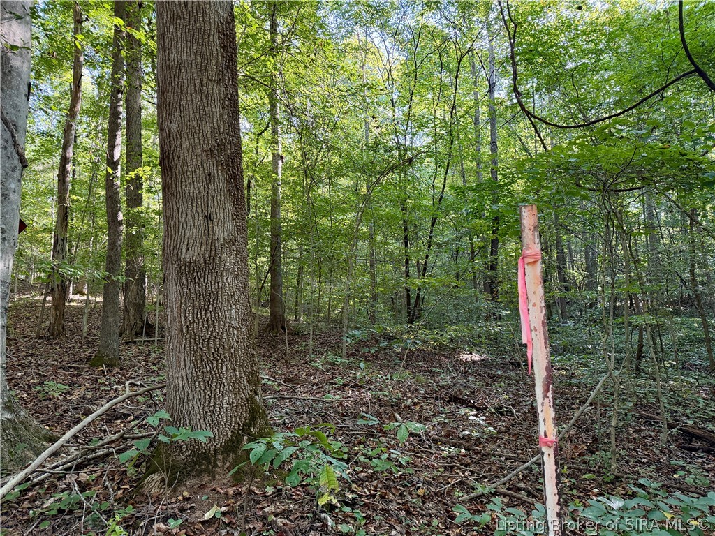 E Side S Big Springs Road Property Photo 18