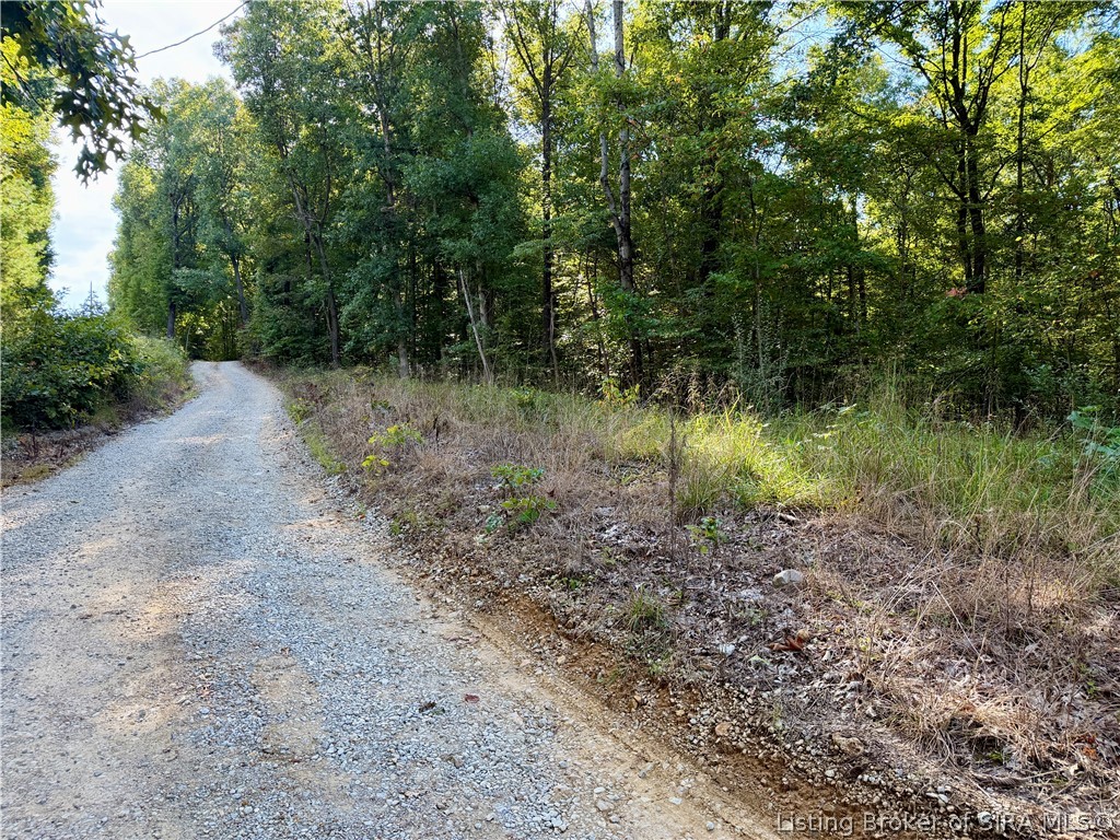 E Side S Big Springs Road Property Photo 19