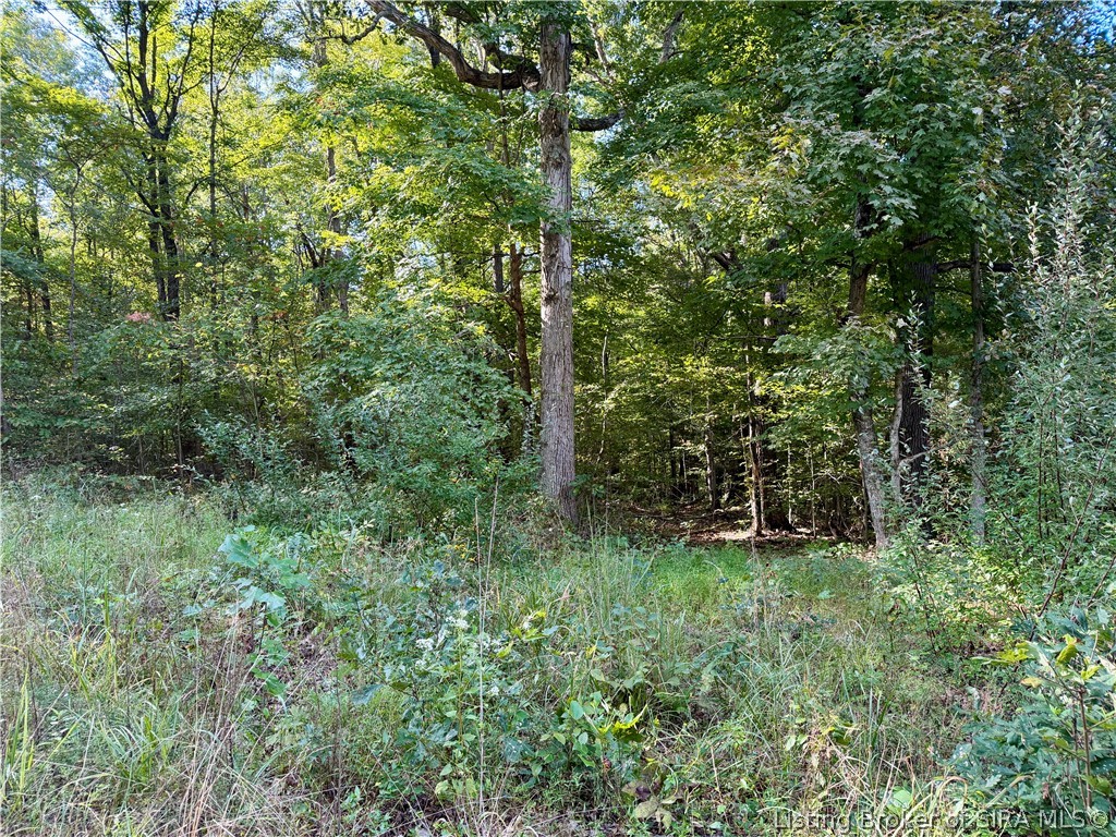 E Side S Big Springs Road Property Photo 20