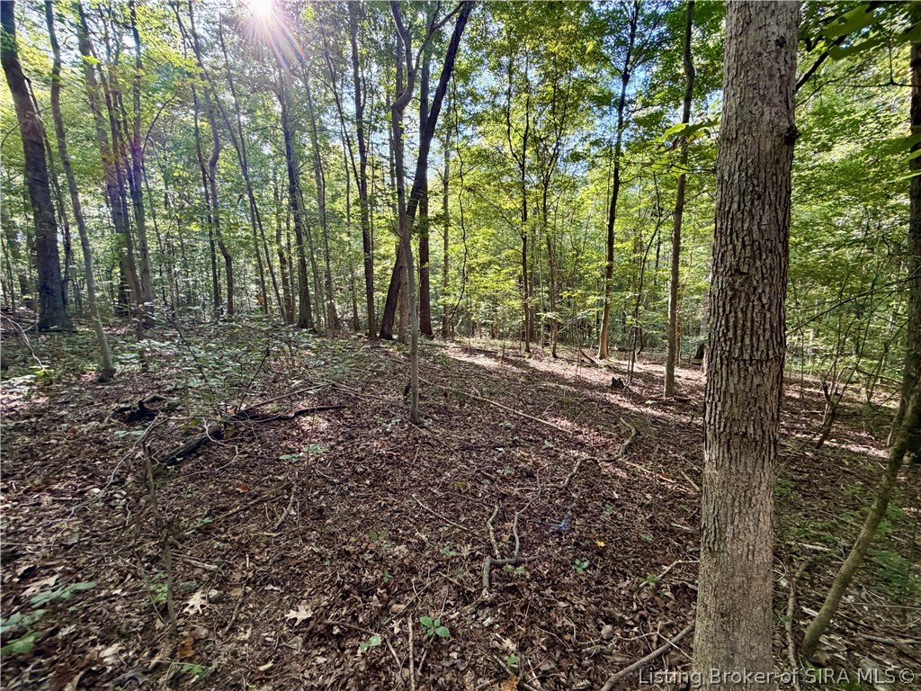 E Side S Big Springs Road Property Photo 23