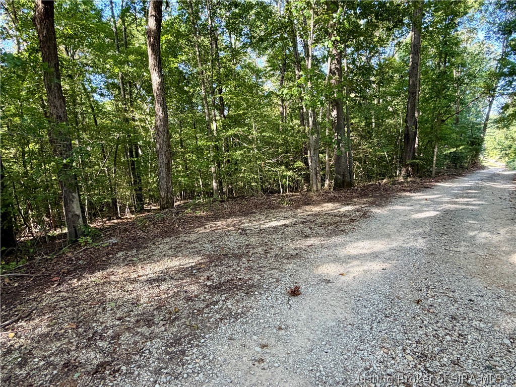 E Side S Big Springs Road Property Photo 24