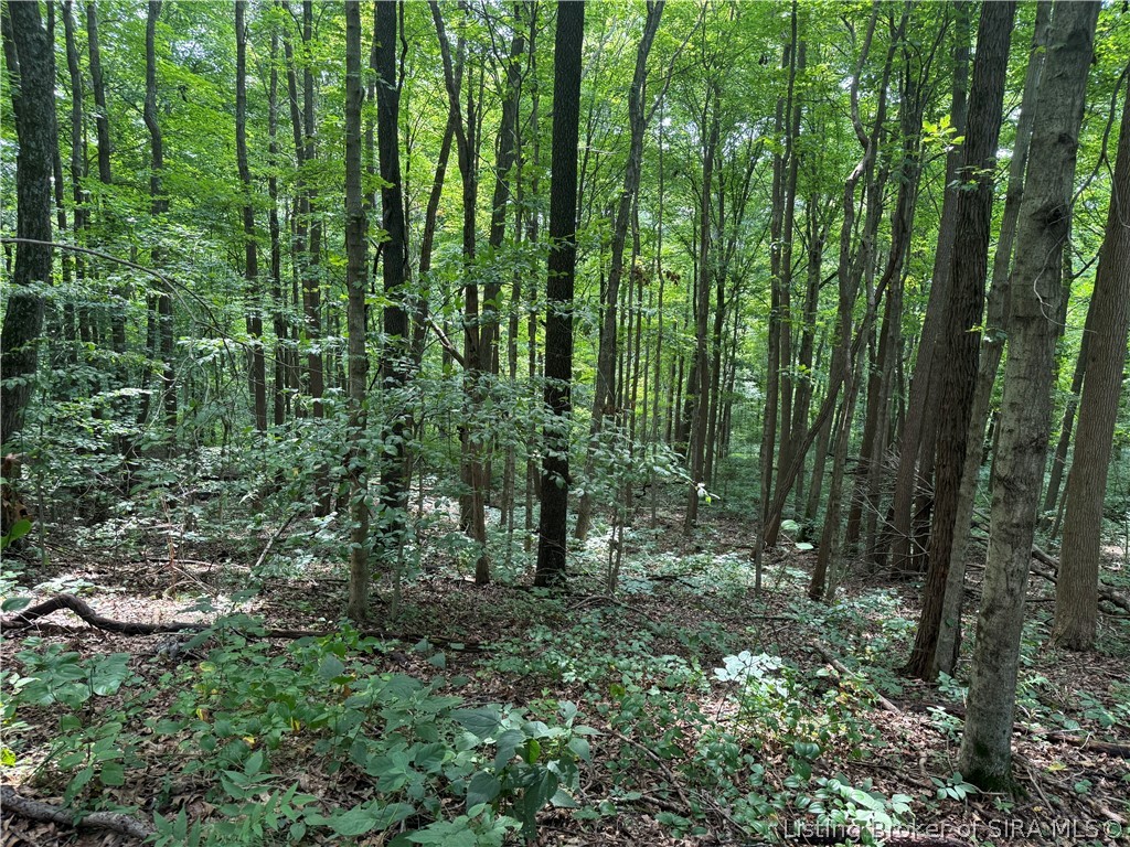W County Road 100 S Property Photo 11