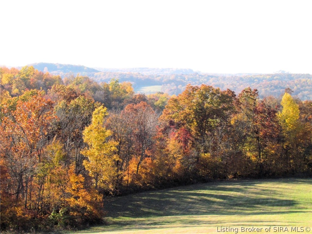 317-319 S County Road 460 S Property Photo 26