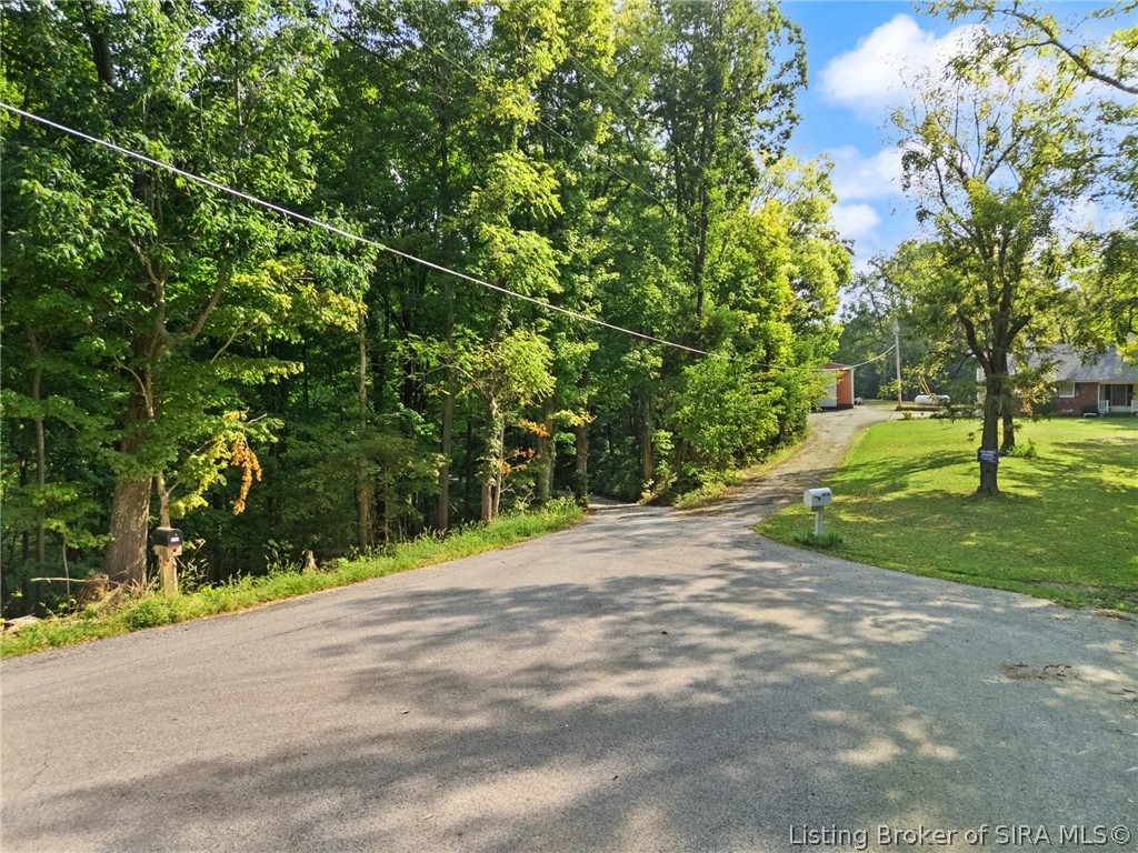 0 W Mccarthy Knob Road Property Photo 2