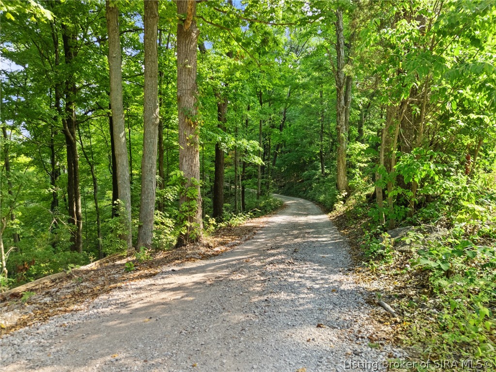 0 W Mccarthy Knob Road Property Photo 3