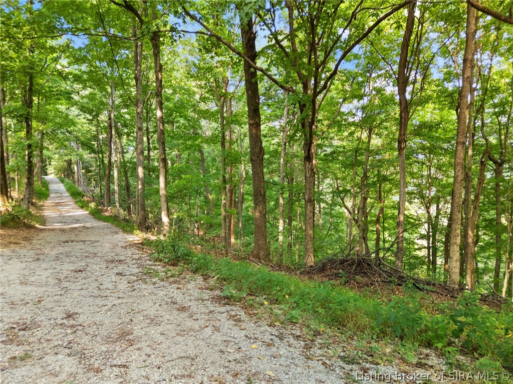 0 W Mccarthy Knob Road Property Photo 4
