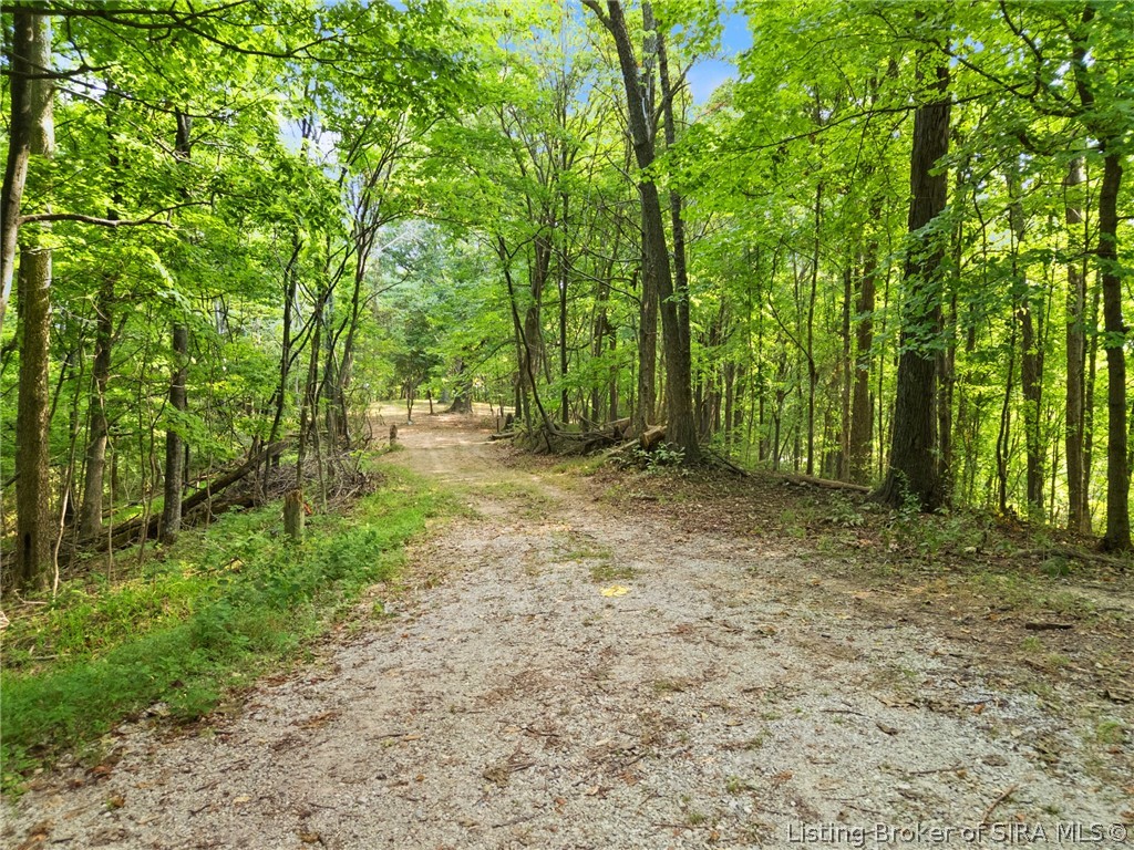 0 W Mccarthy Knob Road Property Photo 5