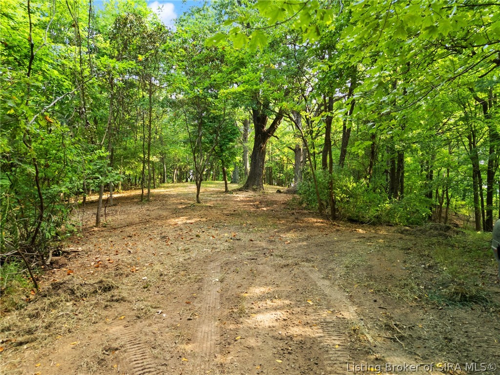 0 W Mccarthy Knob Road Property Photo 6