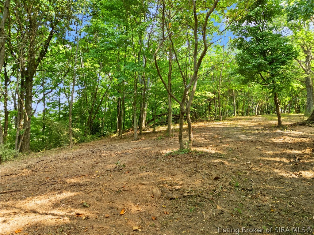 0 W Mccarthy Knob Road Property Photo 7