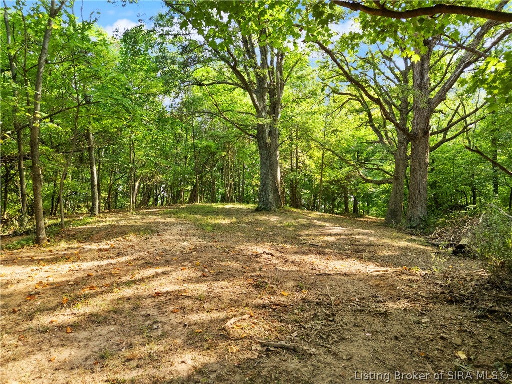 0 W Mccarthy Knob Road Property Photo 8