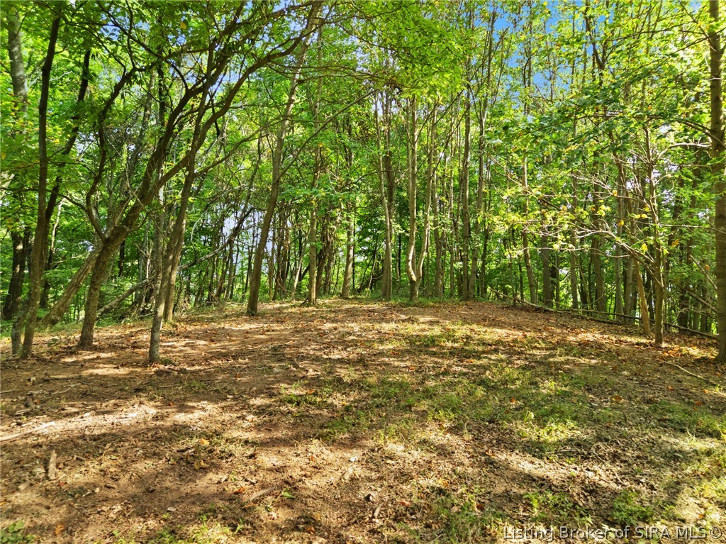 0 W Mccarthy Knob Road Property Photo 9