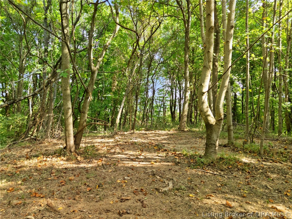 0 W Mccarthy Knob Road Property Photo 10