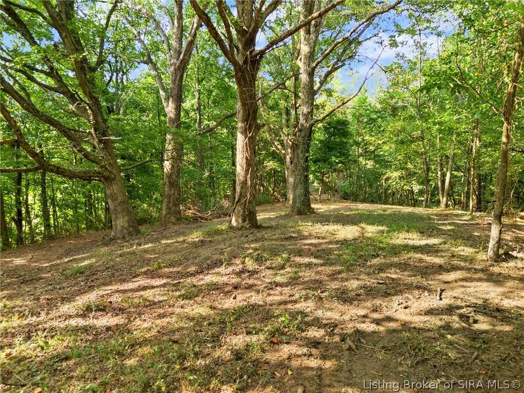 0 W Mccarthy Knob Road Property Photo 11