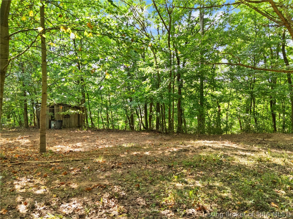 0 W Mccarthy Knob Road Property Photo 12