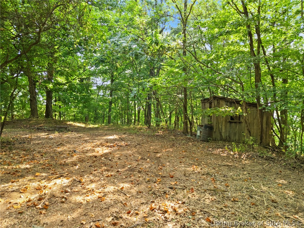 0 W Mccarthy Knob Road Property Photo 13