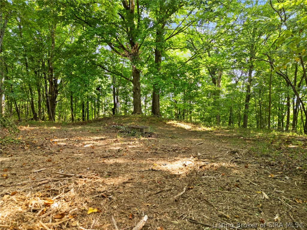 0 W Mccarthy Knob Road Property Photo 14