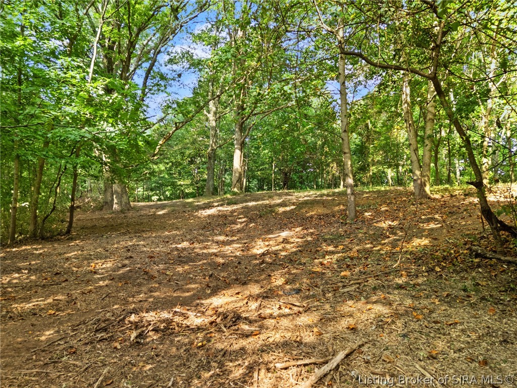 0 W Mccarthy Knob Road Property Photo 16