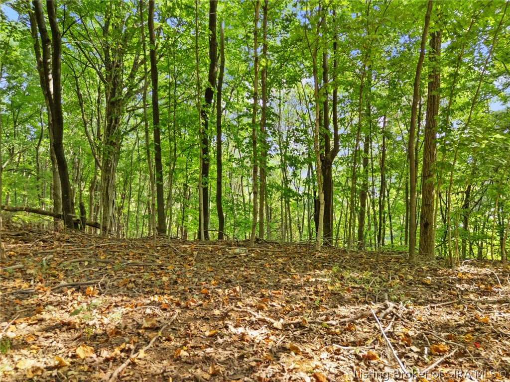 0 W Mccarthy Knob Road Property Photo 17